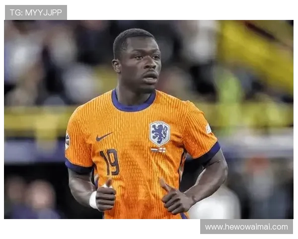 阿贾克斯前锋布罗贝伊正式加盟桑德兰完成转会 阿贾克斯前锋布罗贝伊正式加盟桑德兰完成转会